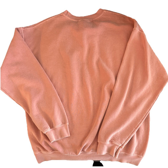 Urban Outfitters Project Social T Women’s S/M Pink Revival Sweatshirt, Soft - Picture 4 of 4